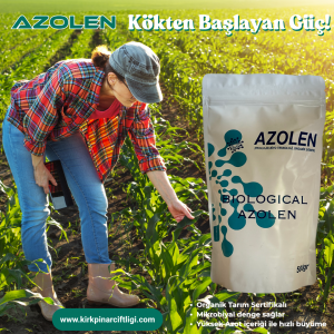 Azolen Mikrobiyal Gübre 100 Gr